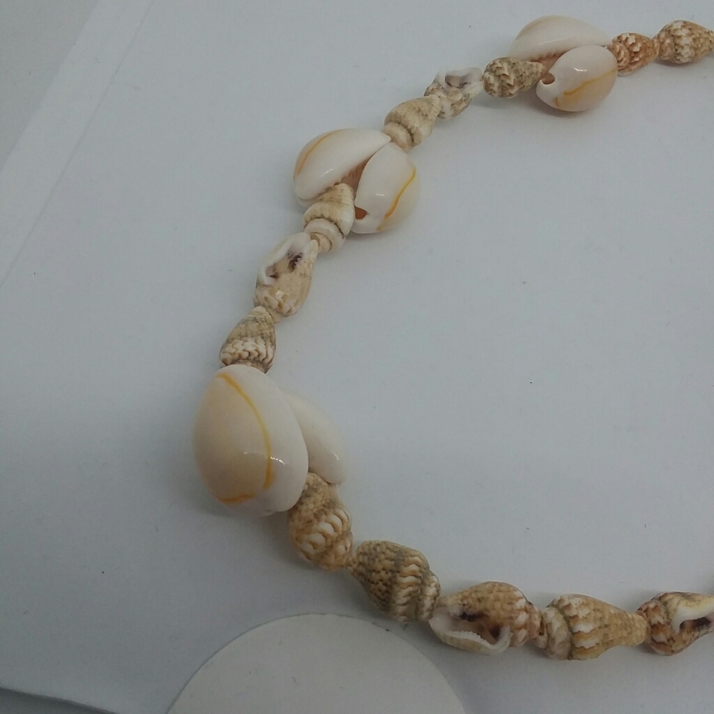Authentic Seashell Long Necklace - Picture 3 of 3